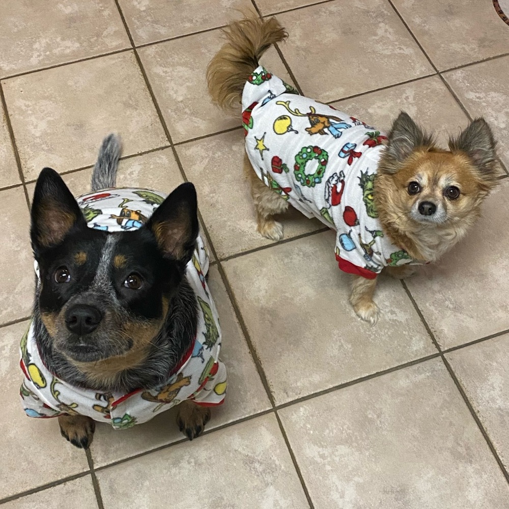 Meet your Posher, Karli